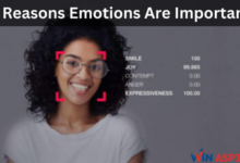 5 Reasons Why They Are Crucial for Our Well-being