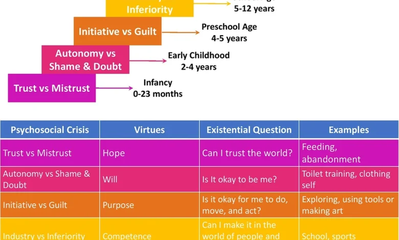 Erikson's Stages of Development