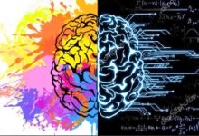 Creativity is a Process